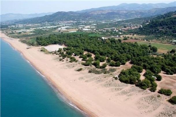 Diamond Giannopoulos Elea Apartments Kyparissia Habitación foto